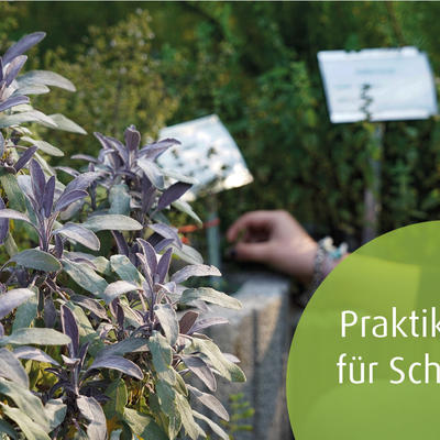 Bild vergr&ouml;&szlig;ern: Praktikum f&uuml;r Sch&uuml;ler