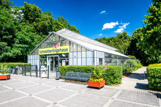 Schmetterlingshaus Elbauenpark  www.AndreasLander.de
