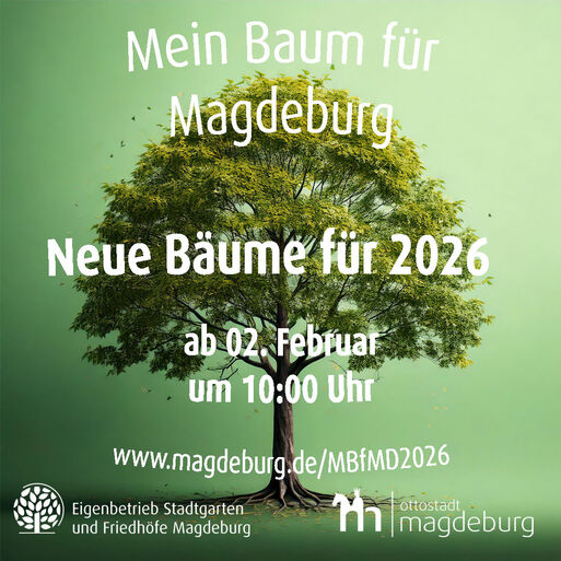 Bild vergr&ouml;&szlig;ern: Mein Baum f&uuml;r MD 2026