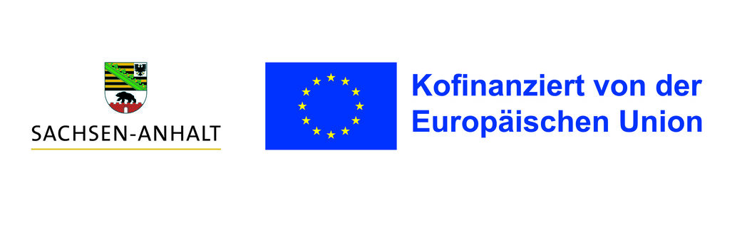 Logo Kofinanziert von der EU (gelbe Sterne)